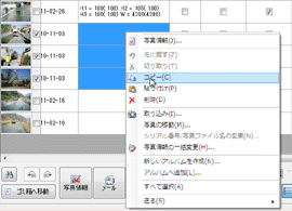 PhotoManager 9.0｜詳細表示で複数の写真の入力・確認が可能