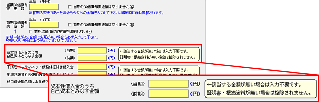 資本性借入金の入力欄