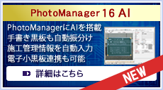 PhotoManager 16 AI