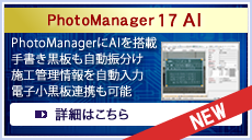 PhotoManager 17 AI
