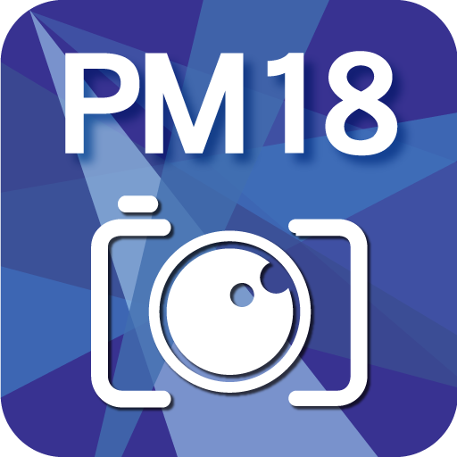 pm18ico